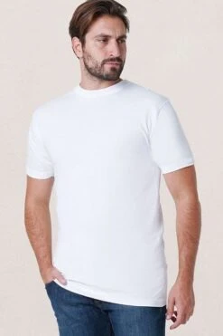 Alan Red T-Shirt Virginia 6 Pack 12 Alan Red T-Shirt Virginia 6 Pack -Kleding Verkoop 2111 4 1