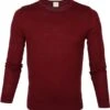 Olymp Trui Lvl 5 Bordeaux -Kleding Verkoop 67043 1