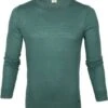Olymp Trui Lvl 5 Groen 2 Olymp Trui Lvl 5 Groen -Kleding Verkoop 67045 1
