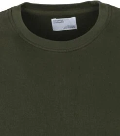 Colorful Standard Sweater Zeewier Groen -Kleding Verkoop 69495 2 1