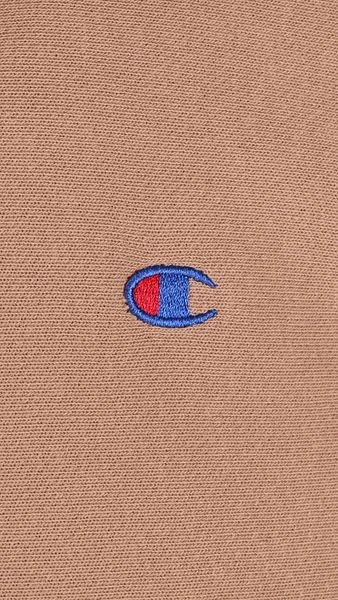 Champion Crewneck Sweater Bruin 7 Champion Crewneck Sweater Bruin - Image 5