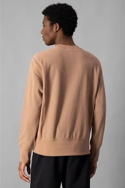 Champion Crewneck Sweater Bruin 5 Champion Crewneck Sweater Bruin - Image 3