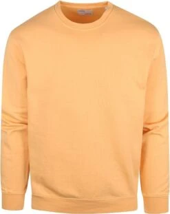 Colorful Standard Sweater Organic Licht Oranje 12 Colorful Standard Sweater Organic Licht Oranje -Kleding Verkoop 73150 1 1
