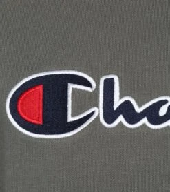 Champion Sweater Script Logo Donkergroen -Kleding Verkoop 73226 3