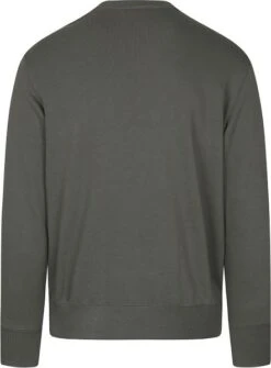 Champion Sweater Script Logo Donkergroen -Kleding Verkoop 73226 4