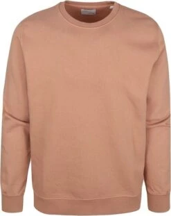 Colorful Standard Sweater Organic Bruin -Kleding Verkoop 73271 1 1