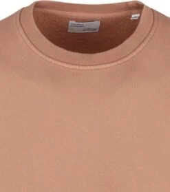 Colorful Standard Sweater Organic Bruin -Kleding Verkoop 73271 2 1