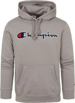 Champion Hoodie Logo Grijs -Kleding Verkoop 74880 1 1