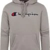 Champion Hoodie Logo Grijs -Kleding Verkoop 74880 1