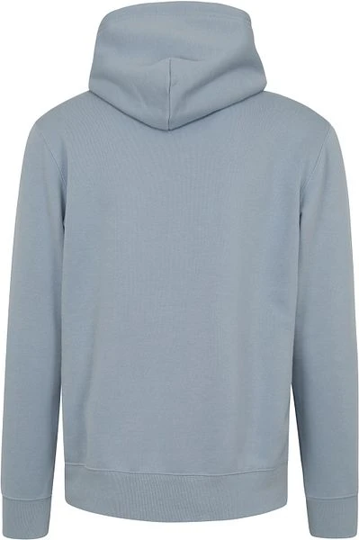 Champion Hoodie College Logo Lichtblauw 7 Champion Hoodie College Logo Lichtblauw - Image 5