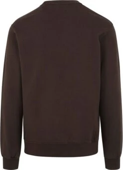 Colorful Standard Sweater Koffie Bruin 11 Colorful Standard Sweater Koffie Bruin -Kleding Verkoop 75132 4