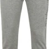 Champion Joggingbroek Grijs -Kleding Verkoop 76821 1